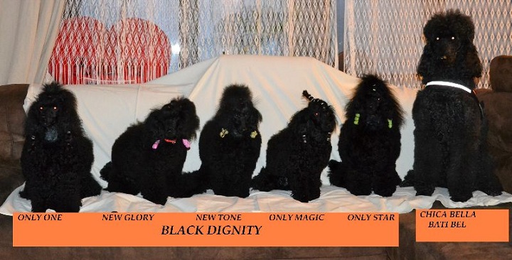 Black Dignity - family meeting